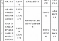 国寿财险峨山县支公司被罚10万元：利用保险代理人虚构保险中介业务套取费用