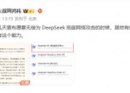 周鸿祎：愿无偿为DeepSeek抵御网络攻击 有些人质疑360能力有限