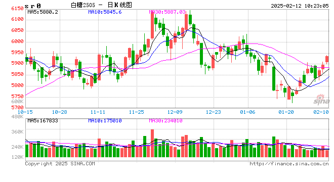 光大期货软商品类日报2.12